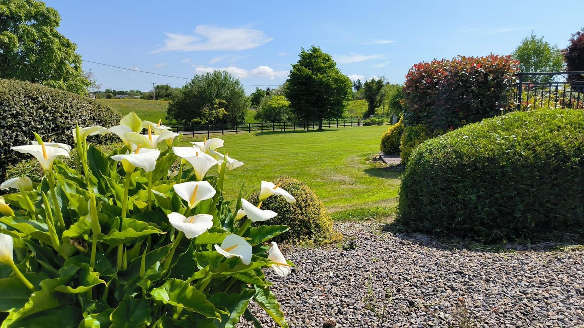 Swinford Country House 외부 사진