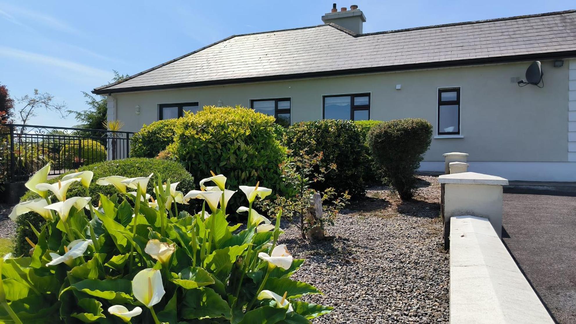 Swinford Country House 외부 사진